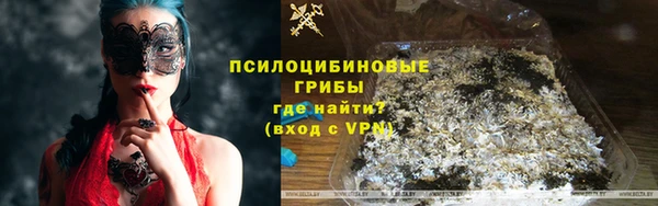 шишки Яровое