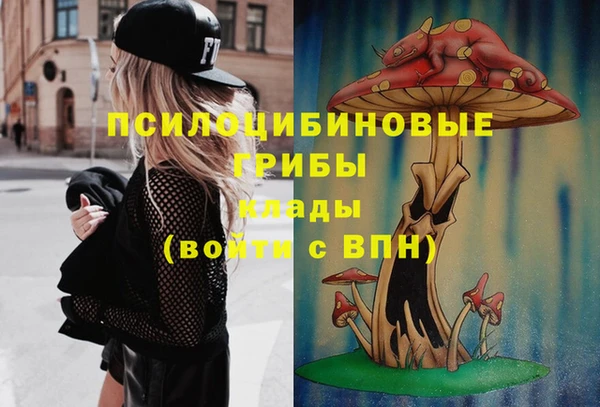прущие крисы Осташков