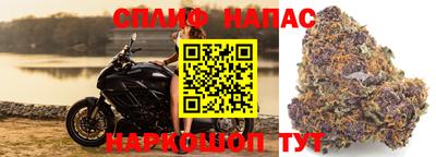 МДПВ Апрелевка