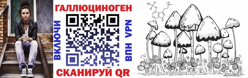 ОМГ ОМГ ONION Богородицк Псилоцибиновые грибы Psilocybine cubensis