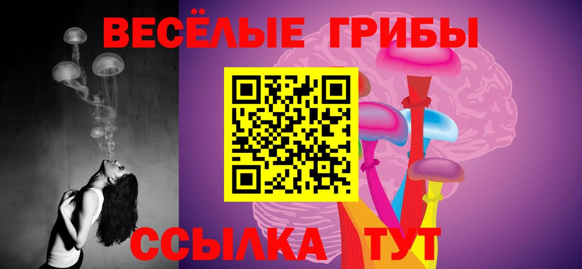 Богородицк  Псилоцибиновые грибы мухоморы  Вход с VPN 